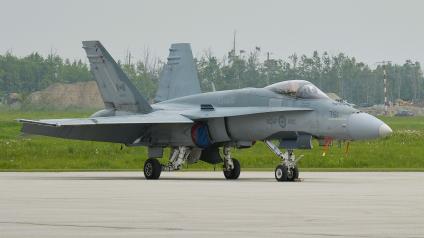 Military jet on a runway, surrounded by greenery.