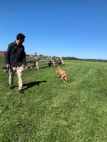 Waggin Tails Dog Walking Service