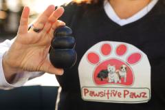 Ilayna Harris - Pawsitive Pawz with Dog Toy